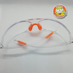 Nutty Scientists Safety Glasses