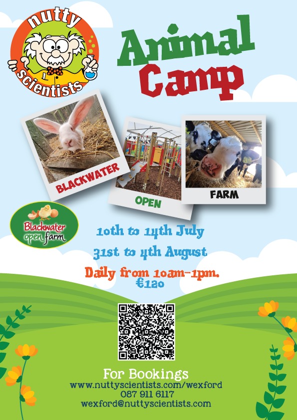 Blackwater Open Farm Summer Camp Nutty Scientists Wexford 2239